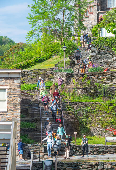 Scenic Sendoff Hike, Photo by Dan Innamorato